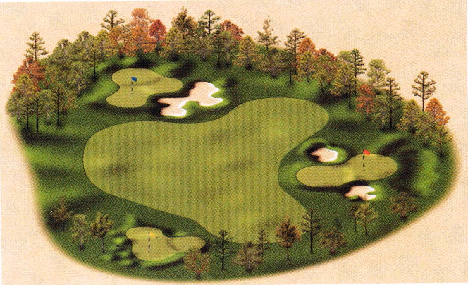 Illustrated rendering of three practice greens ringed by bunkers and mounds