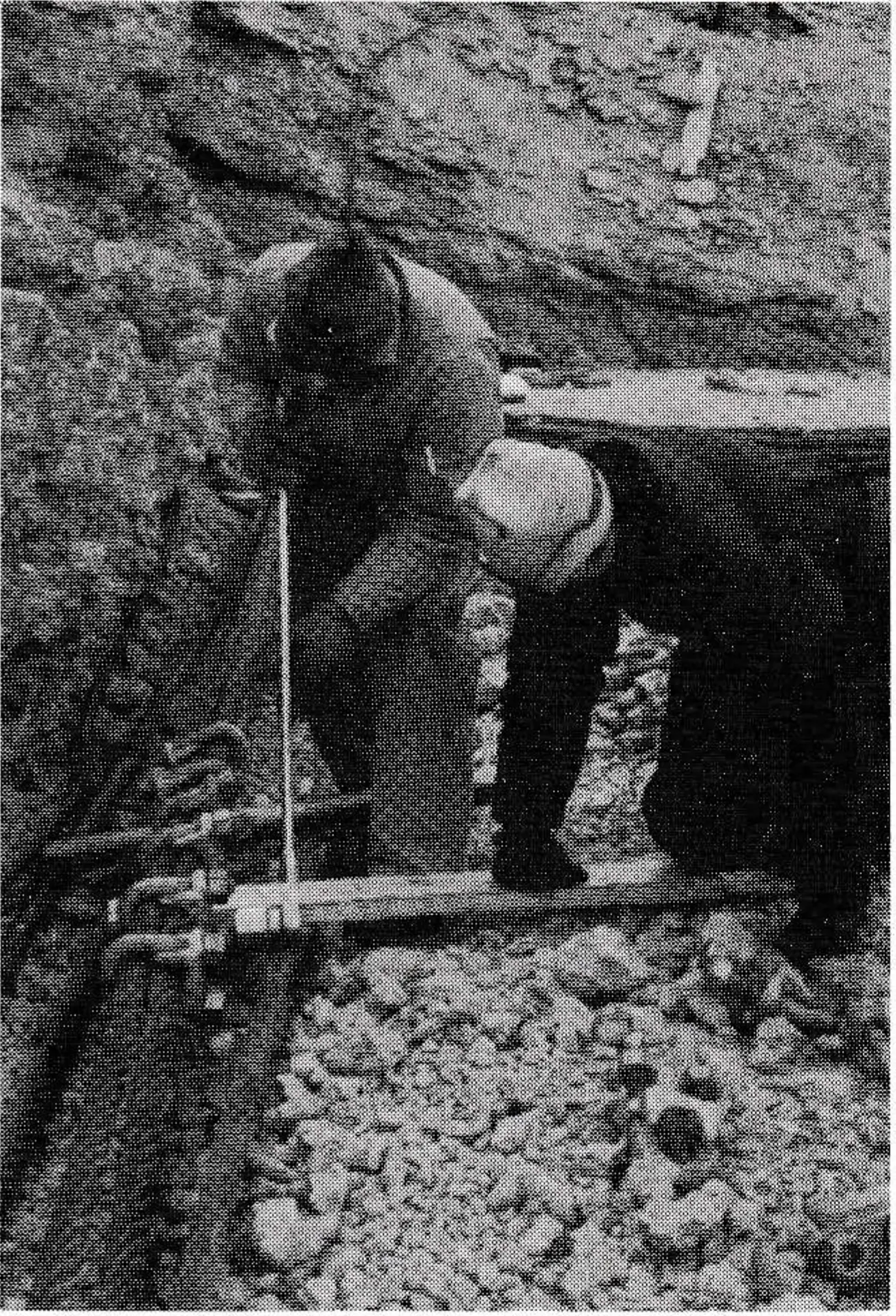 Twenty 2-in. crosby clips torque 750 ft. lbs. They are fastened to ends of 2-in. 6 x 37 wire rope operating as deadman for rig.