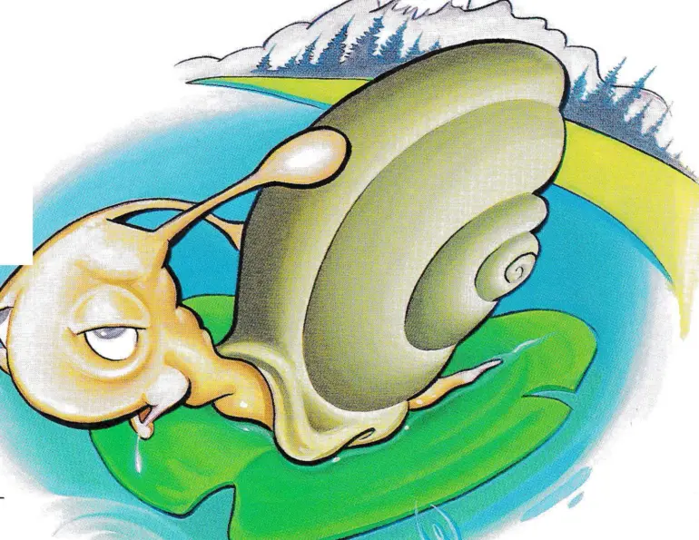 Oh My Gosh! Is There An Endangered Snail In My Snowmaking Pond?