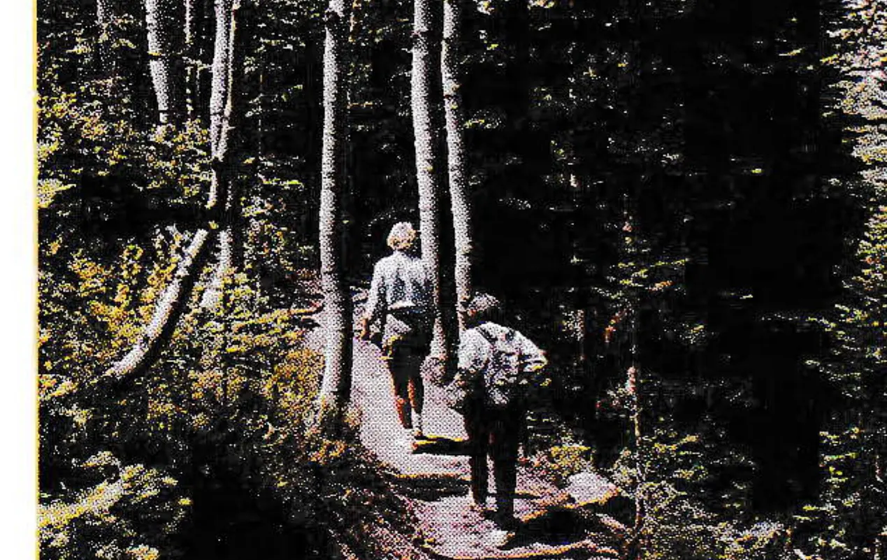 Hikers enjoy nature trail. Goal is to make it barrier-free for handicapped and elderly.