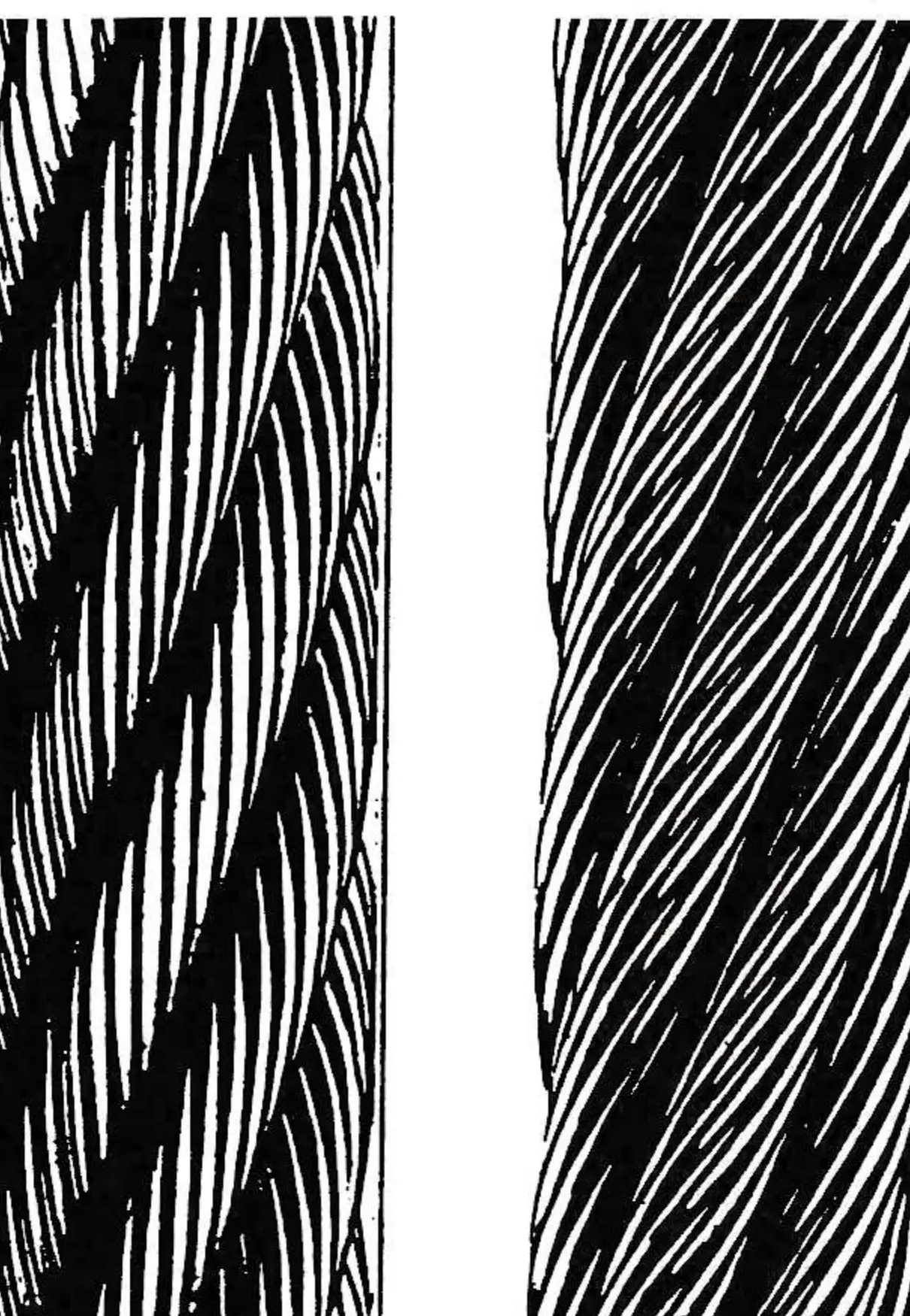 In Right Regular Lay rope (left), strands are right layed and the wires in the strands are left layed. In Right Lang Lay rope (right), strands are right layed and the wires in the strands are also right layed.