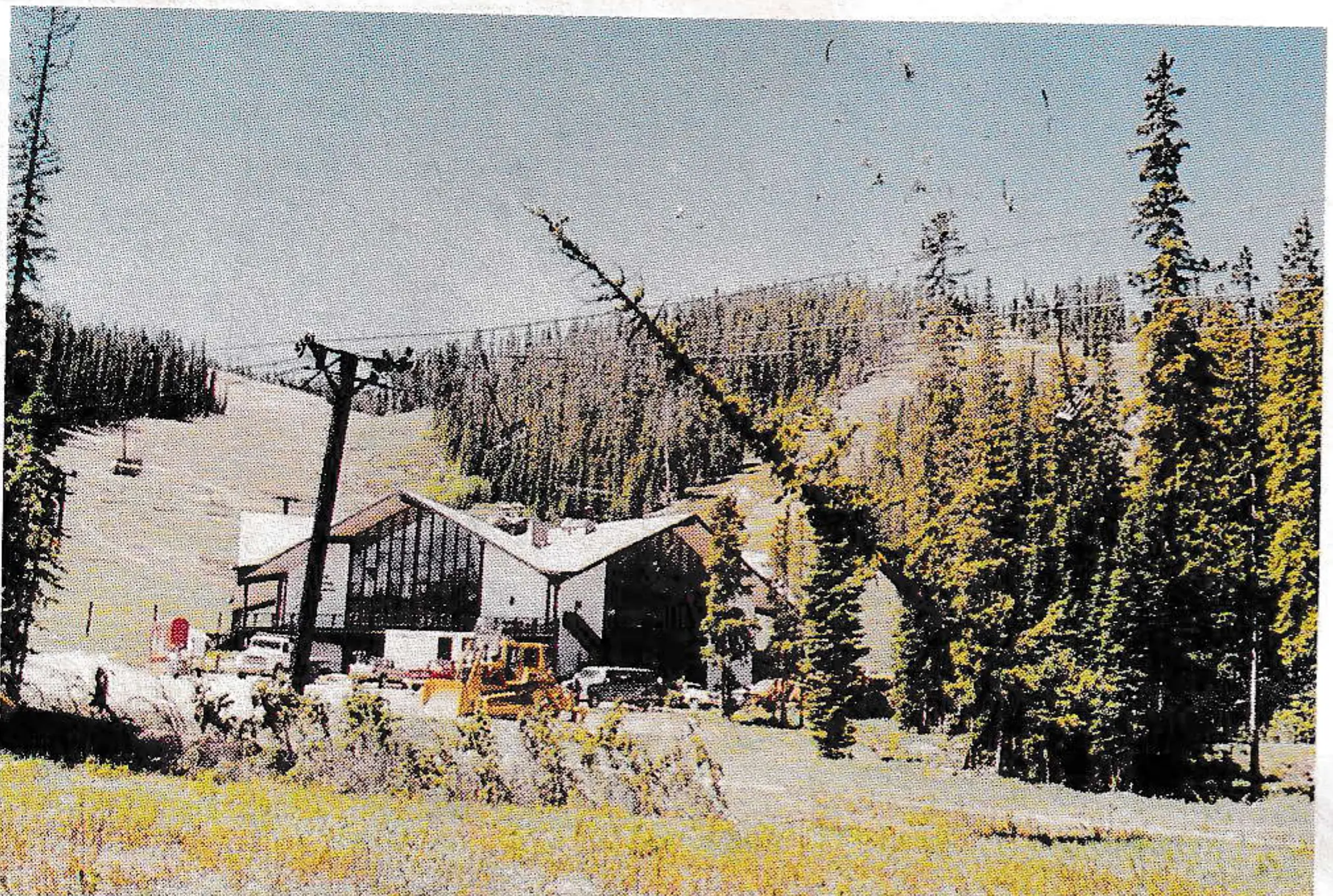 A tree uphill from Tower 4 was dropped on the downgoing rope.