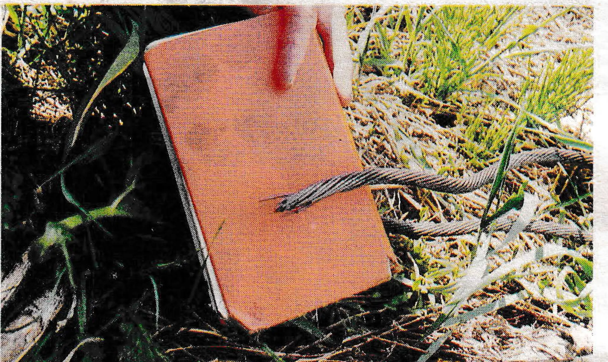 Notice the strand that has been parted by the fire, showing the ductile failure of the individual wires.