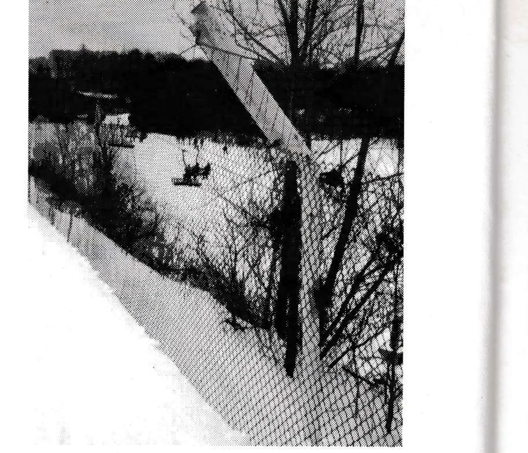 The cantilevered middle pole of the Roundtop fence has winches on either side to each lift 150 feet of fence.