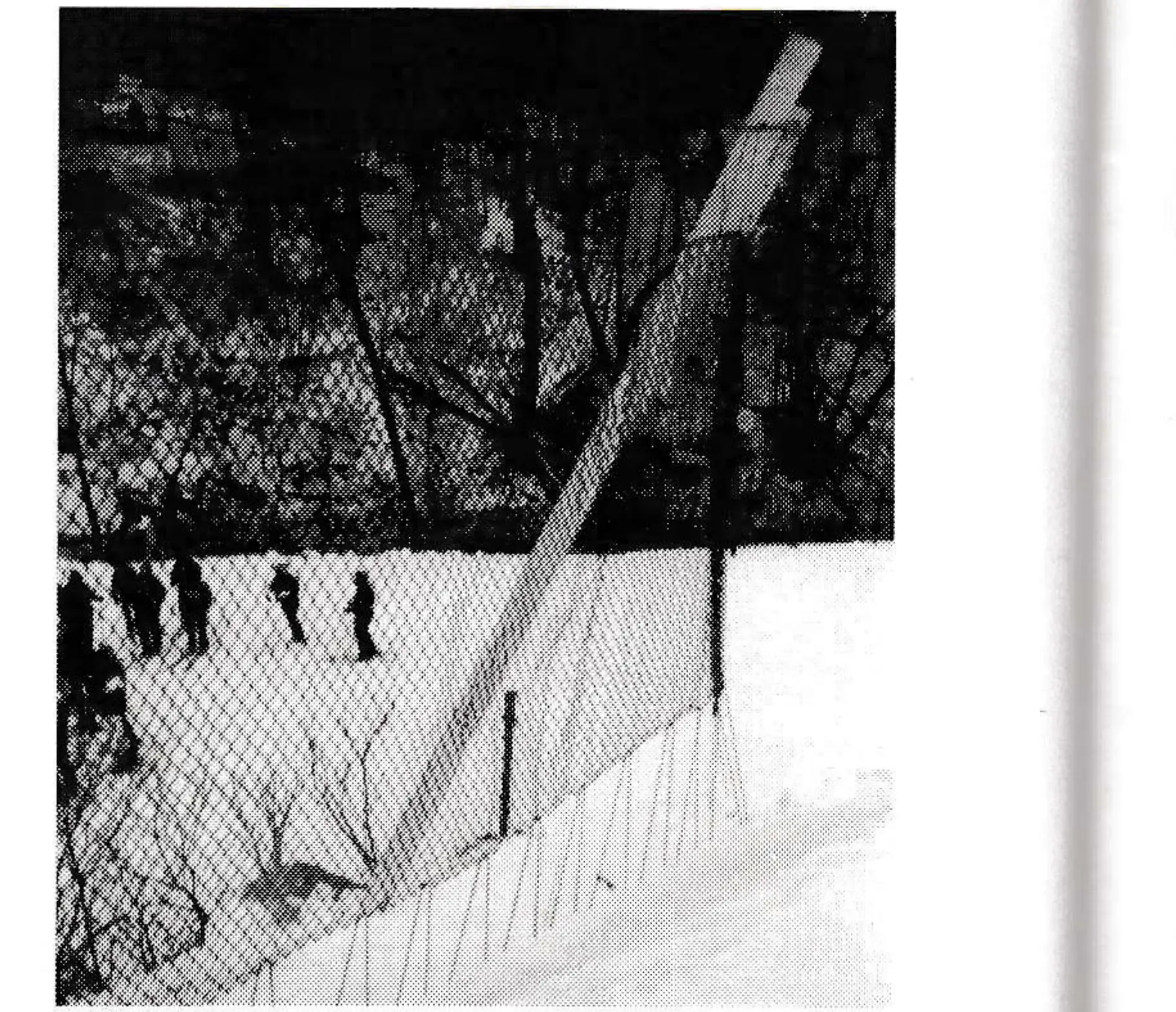 The bottom pole of the Roundtop fence is mounted at a 45 degree angle to the run and from dead level.