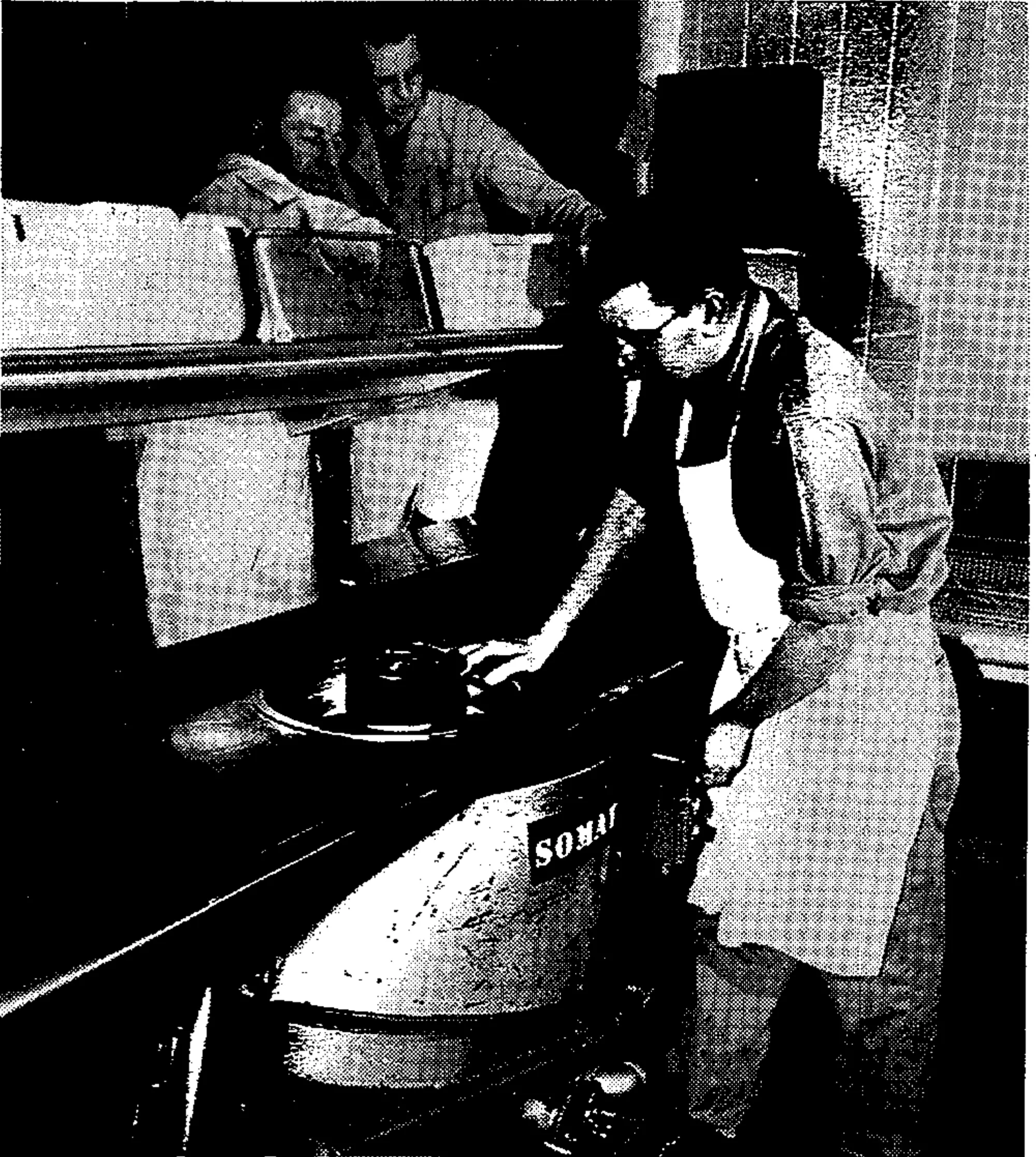 For kitchen waste disposal this omnivorous