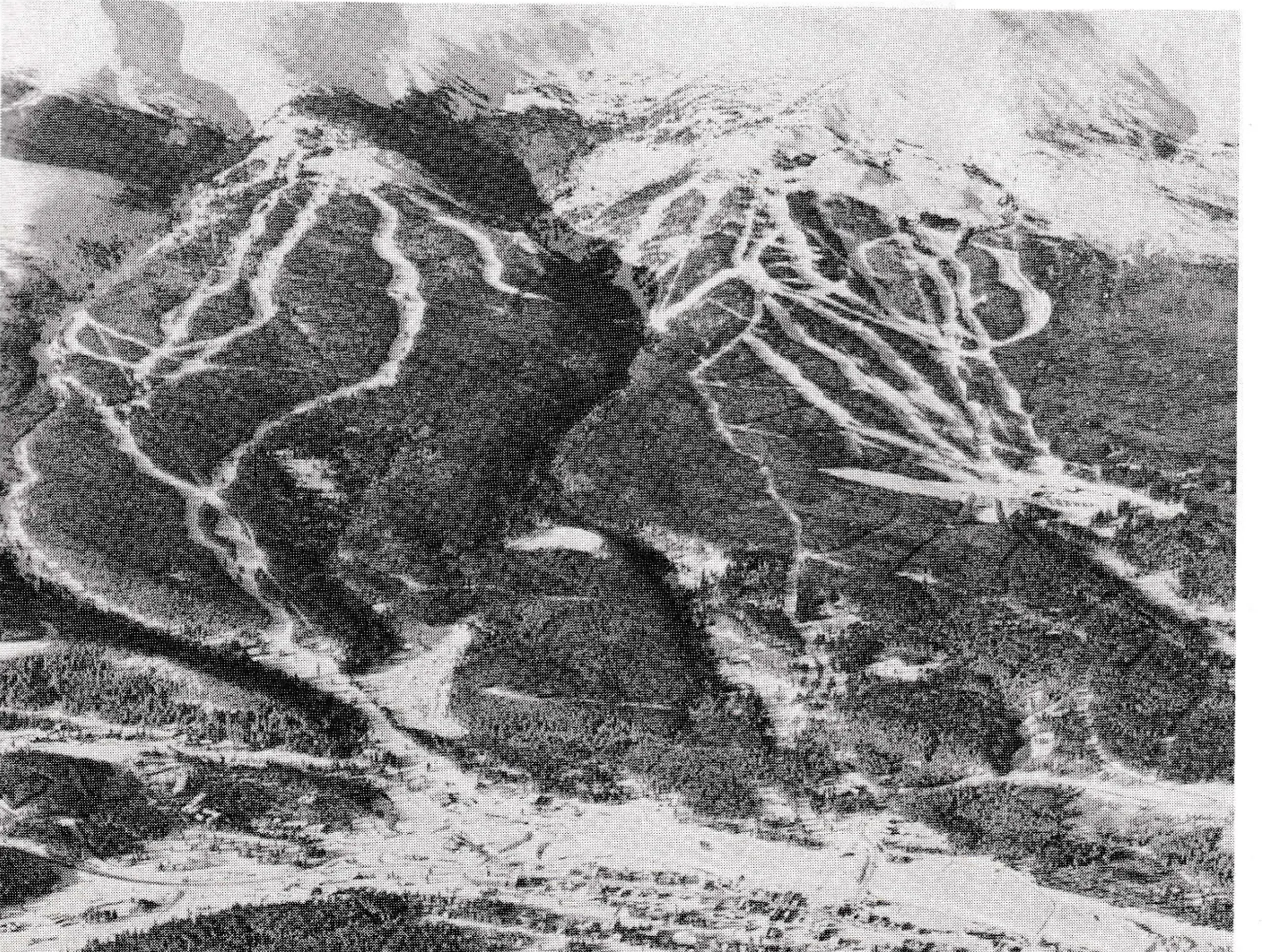The typical Rocky Mountain ski area clears trees from 30 - 50 per cent of the terrain within the total area developed