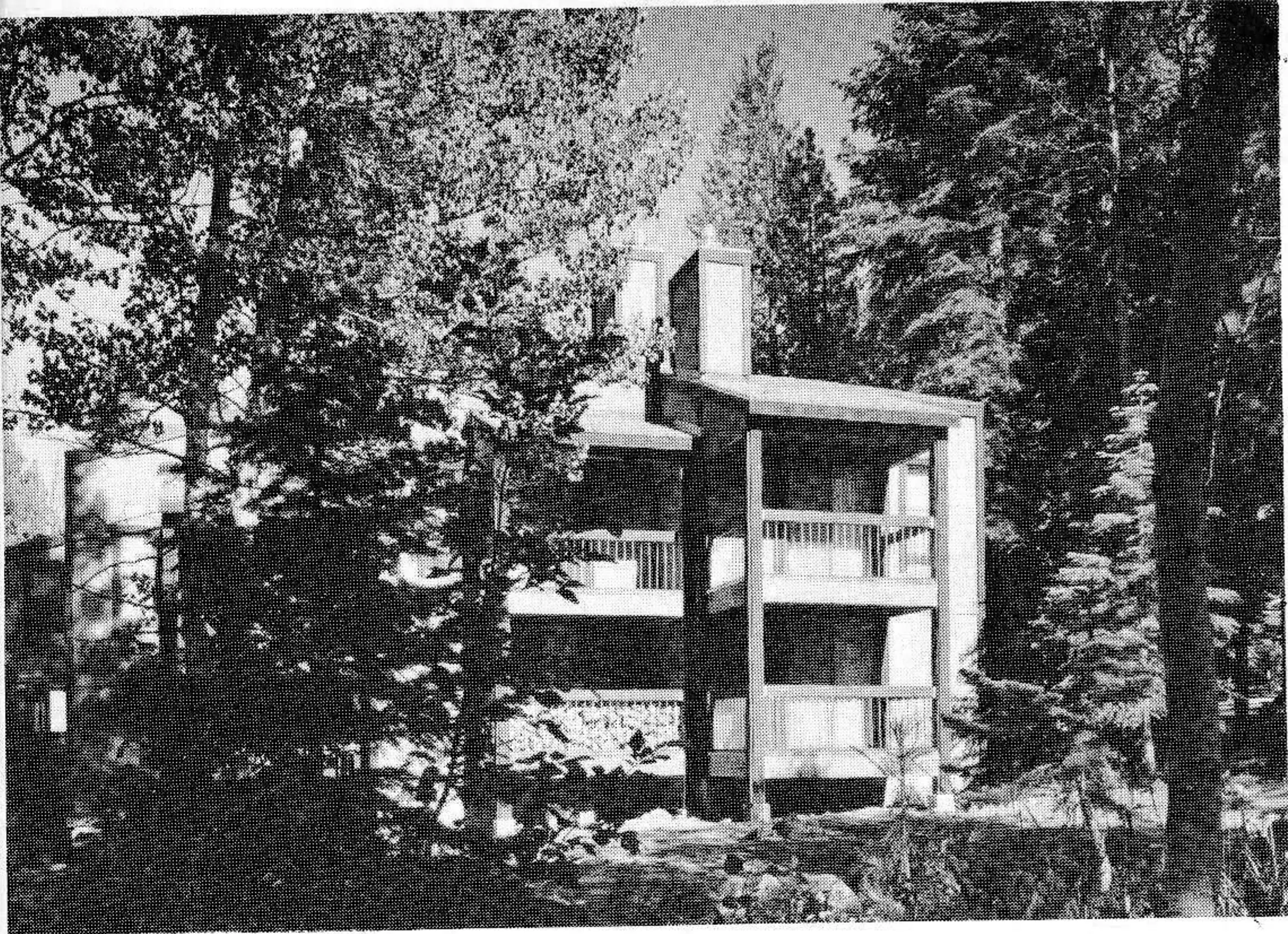 In dense woods, use natural openings to build in, and also bring in sunlight. If there aren't openings, make them look natural.