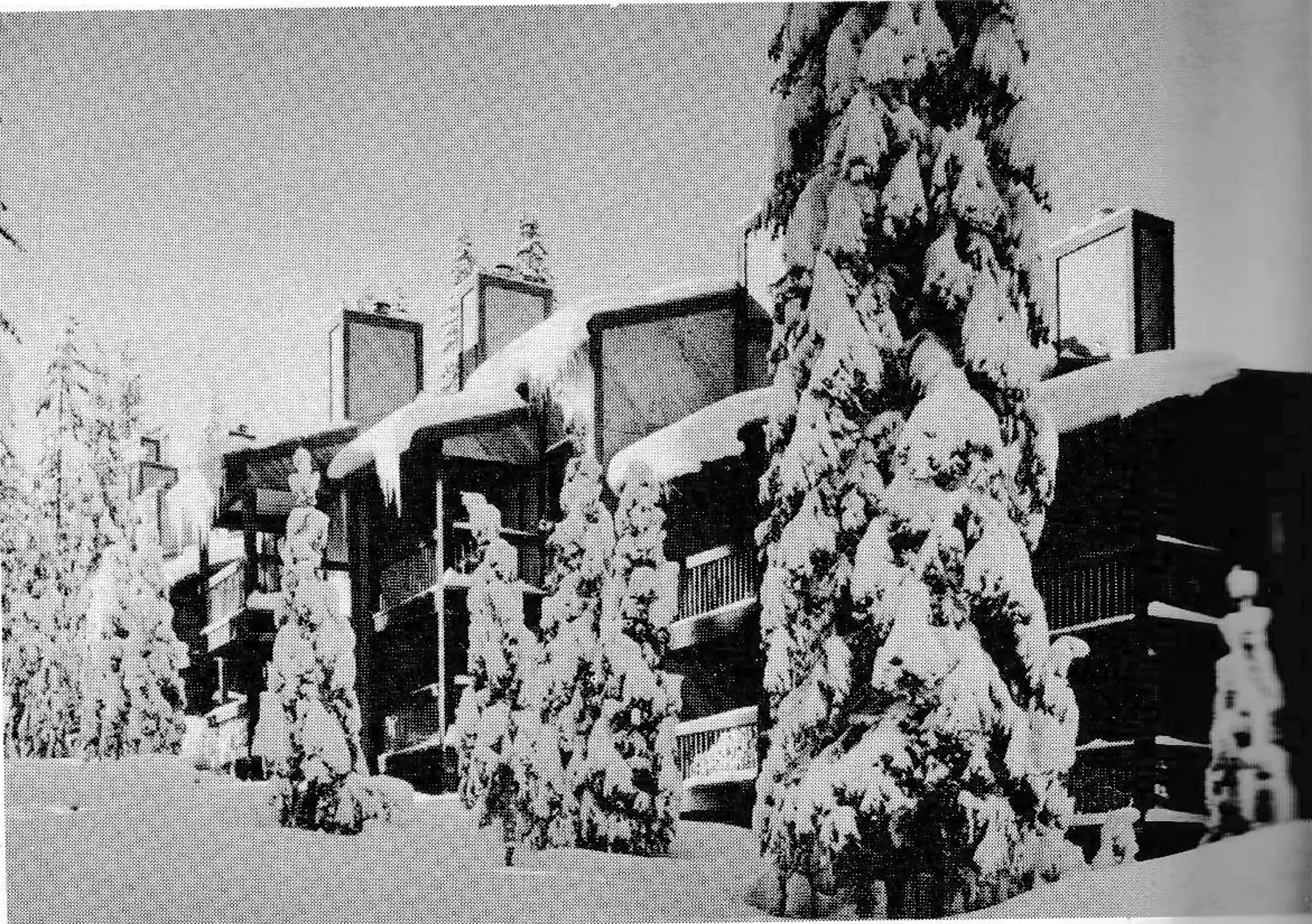 Even the small trees are important and must be protected during construction. Use snowfences to prevent through traffic.