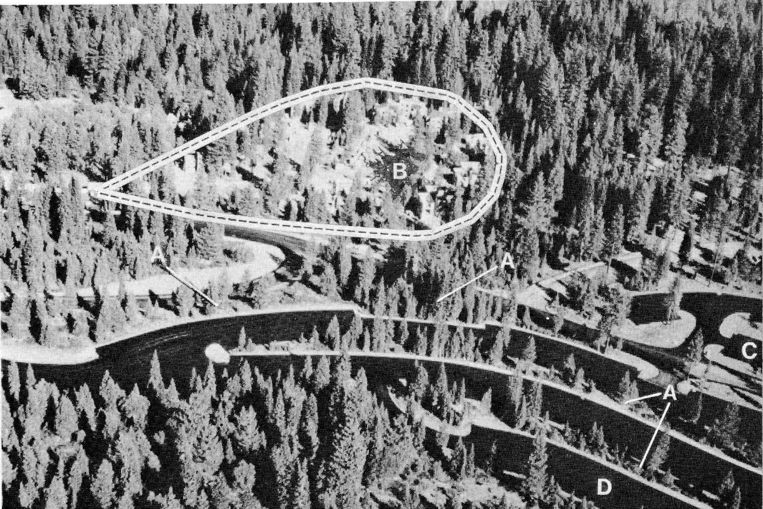 Parking for 700 cars is worked in among the islands of trees (A), the parking lanes following the natural contours. Comdominiums are under construction (B), and this view show the trees that are being left. Care must be taken not to injure these during construction. Point (C) marks a drop-off station for busses.