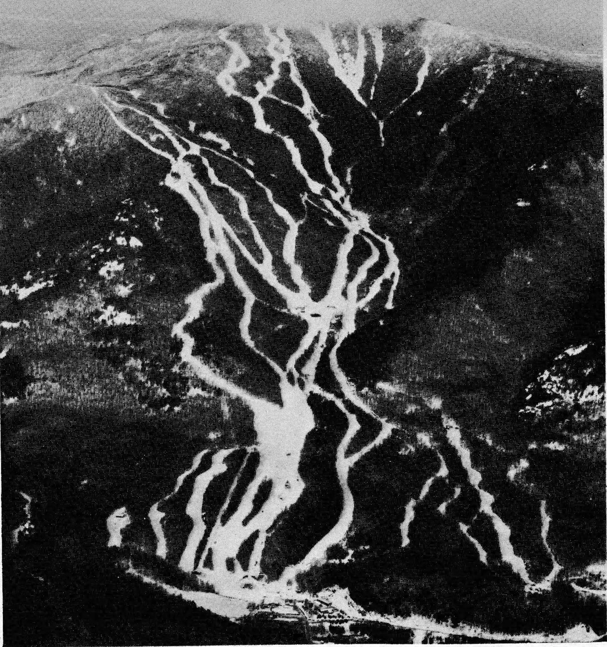Whither Whiteface