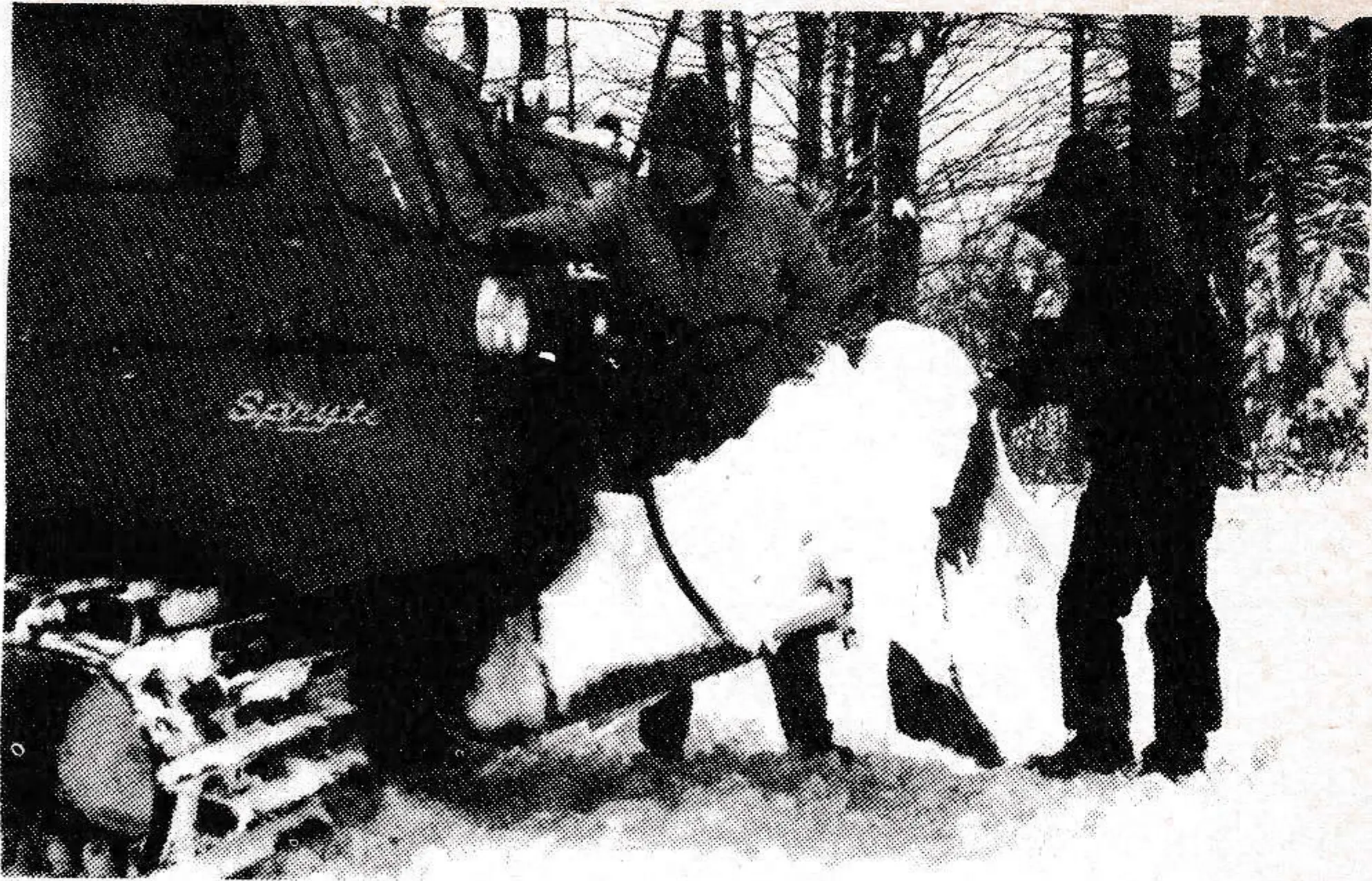 Field inspection of used equipment with Ed Ladd of Pico.