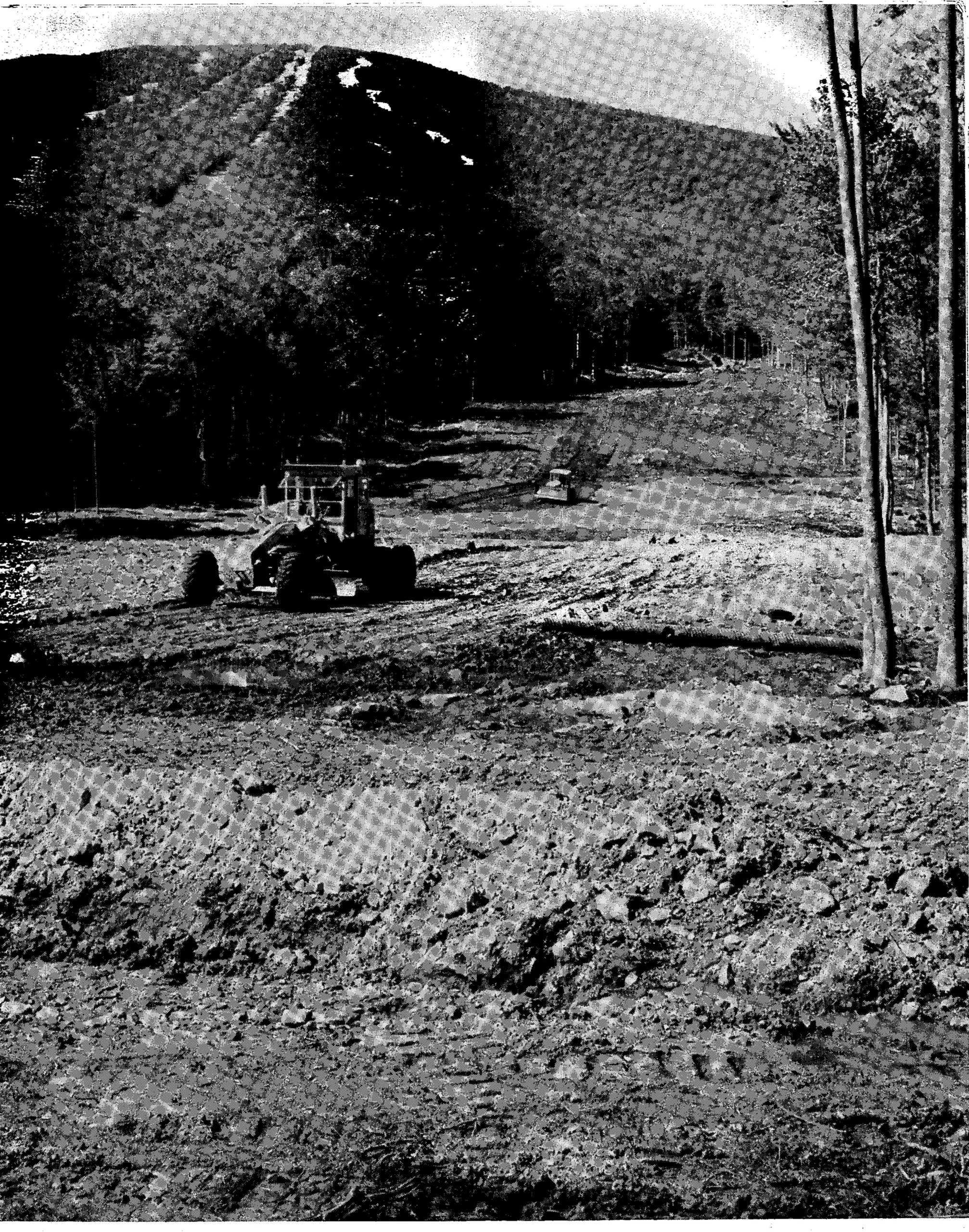 So You Want To Build A Golf Course?