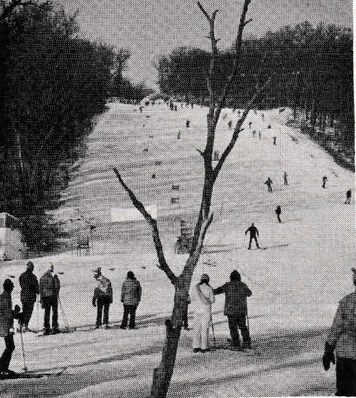 Slopes at Devil's Head Lodge cater to skiers from beginners to advanced.