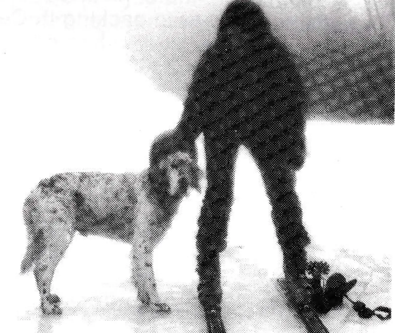 “My English Setter, John — my only friend in Camden.”