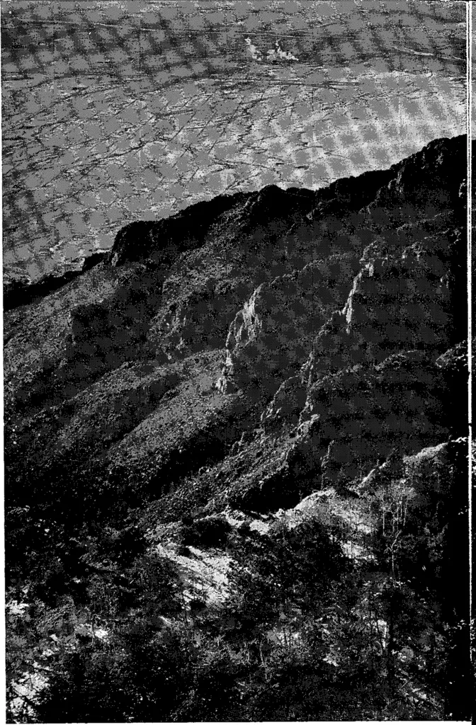 SAM cover, Summer 1965