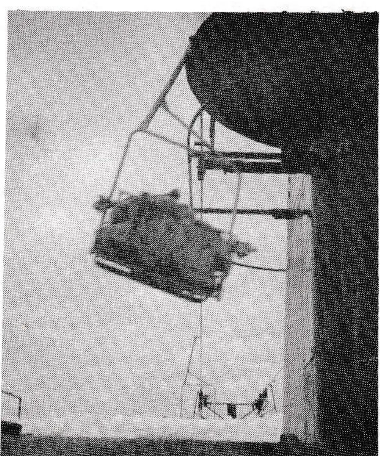 Carrier with twice design load passes drive sheave at full speed.