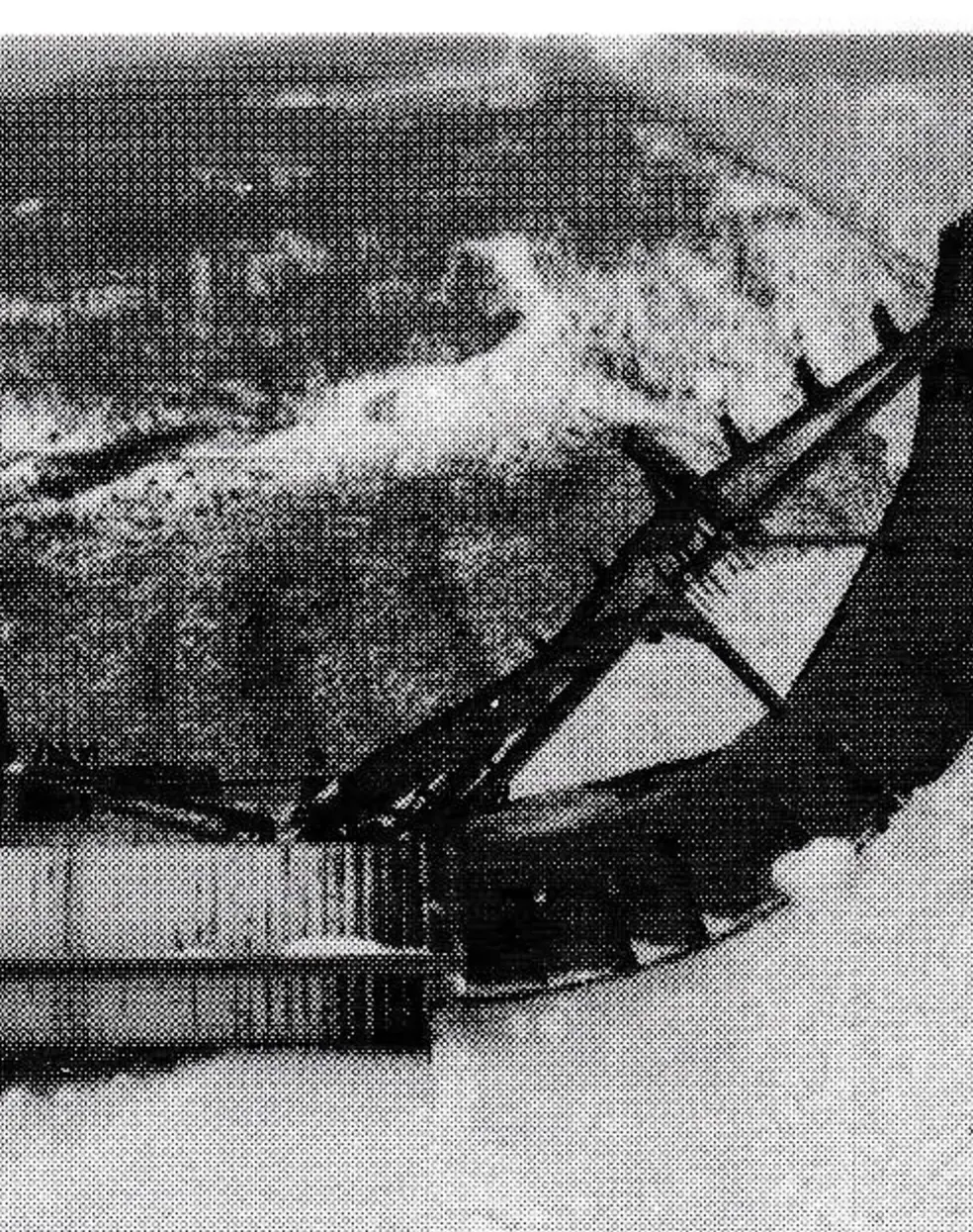 The Kassbohrer Blower Blade blows and shapes in one pass.