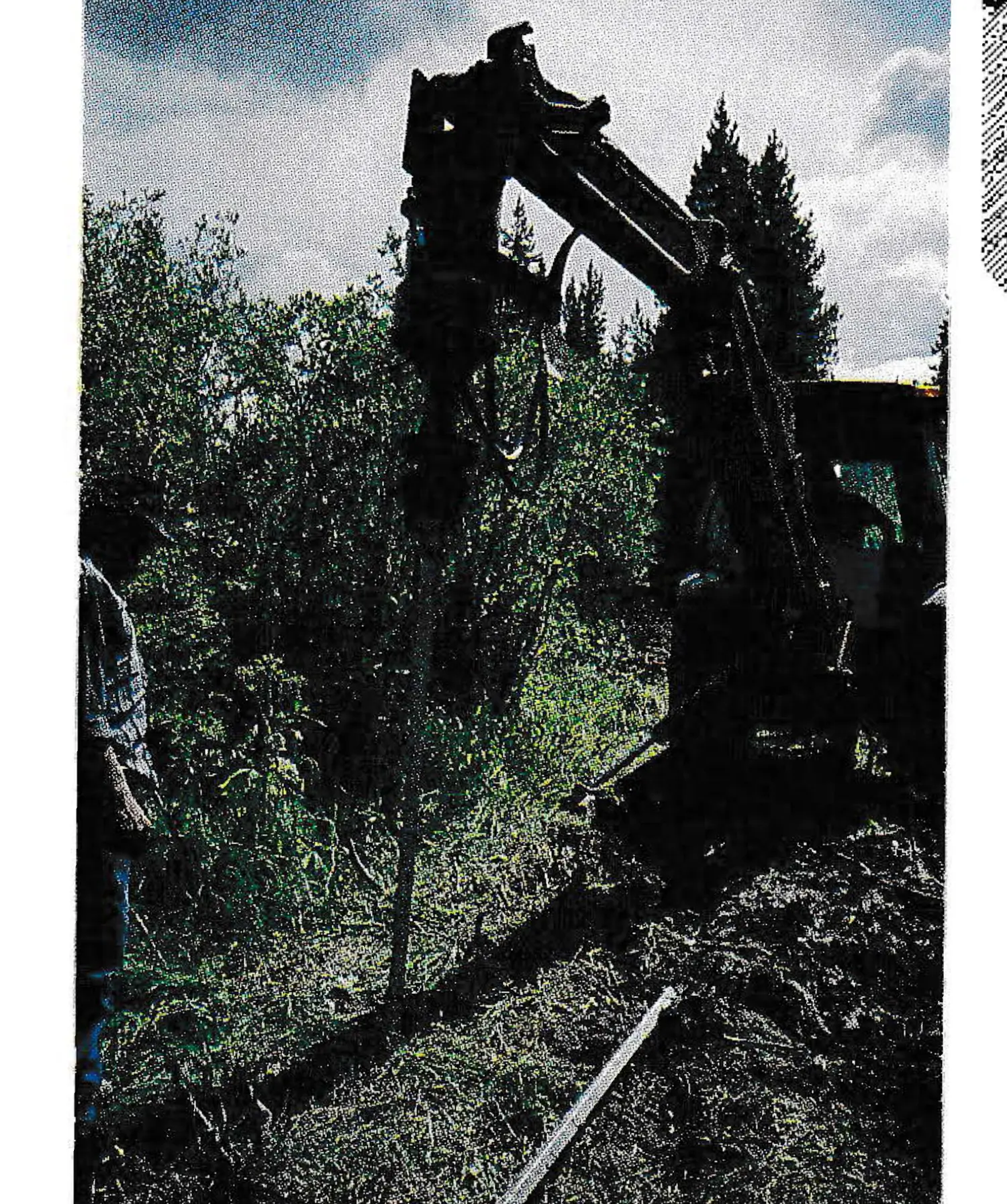 Foundation anchors driven into place.