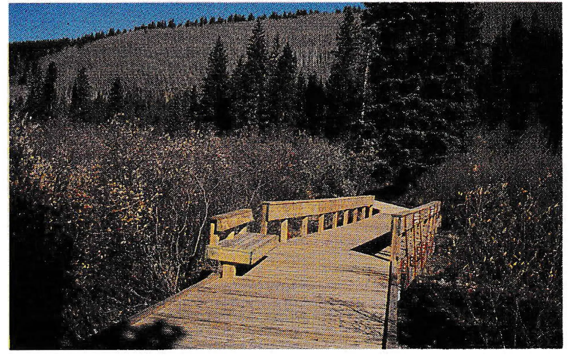 Jim Creek wetland became accessible with boardwalks.