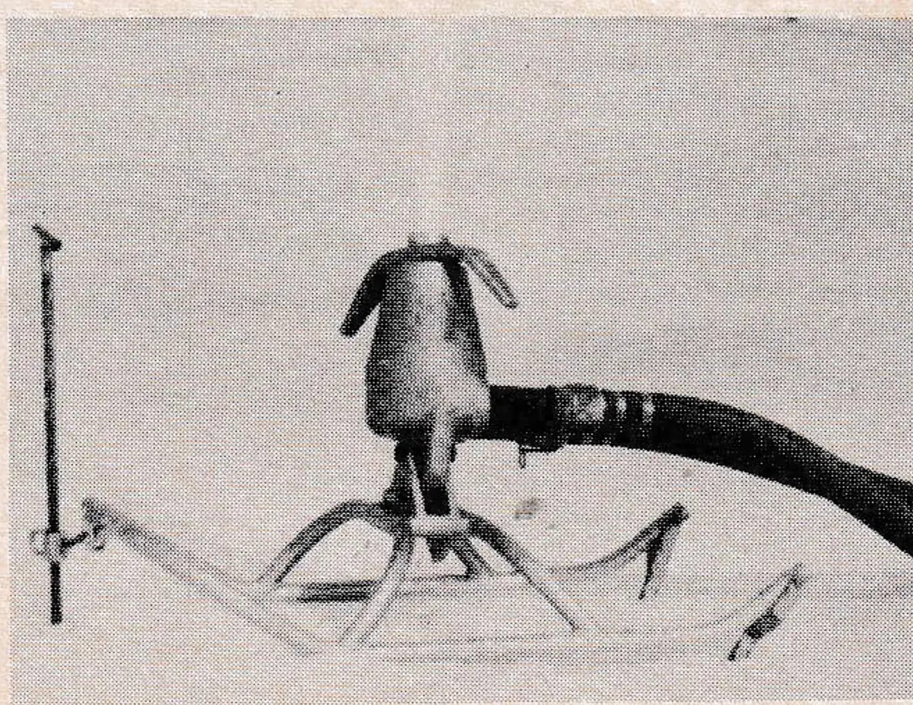 Snow-Fury Mark II (RAB Engineering)