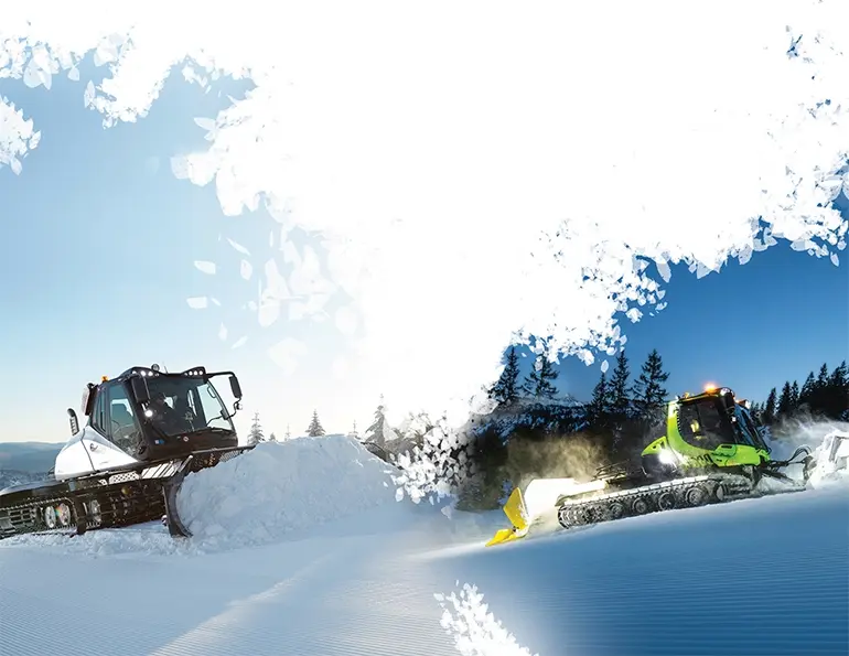 2021 Groomer Report