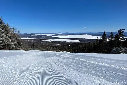440x340 Big Moose