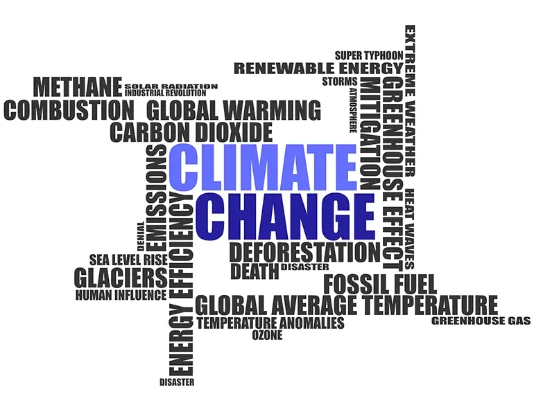 Lobbying for Change on Climate