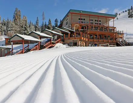 Brundage1