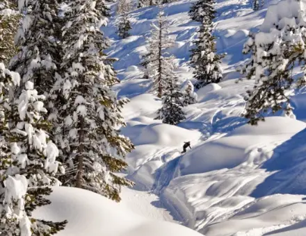 Indy Pass Adds Mountain High and Dodge Ridge