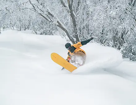 Falls Creek Season Image HN