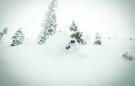 March Snows Fueled Visits for Western Destinations