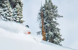 Snowfall Boosts February Bookings