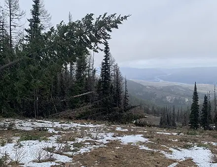 Mission Ridge Storm