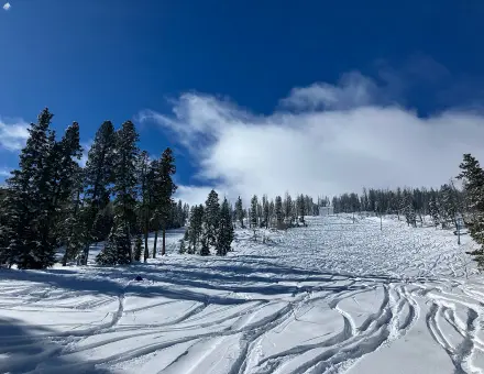 Pajarito Mountain Opening