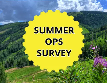 SO Survey