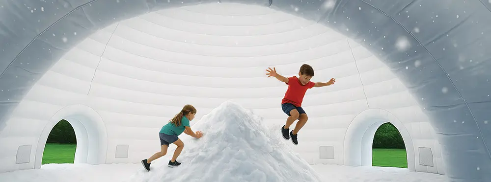 Snowdome Img 1 scaled 1