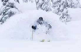 Stevenspass emailsize