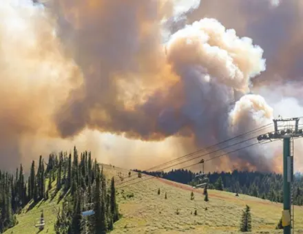 Tamarack Fire HN
