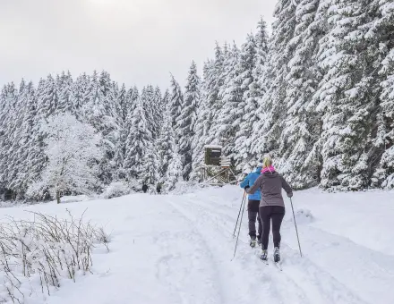 Holiday Survey Indicates Active Season Ahead