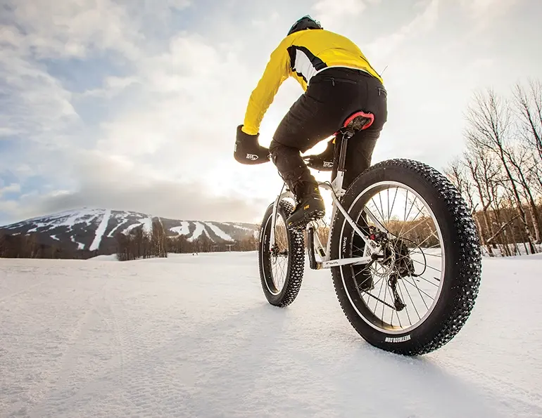 Winter Fat