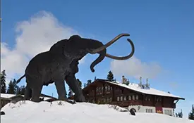 mammoth KSL esize