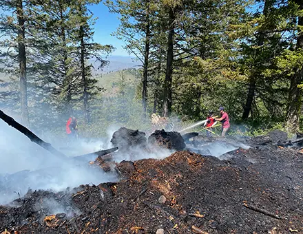 wildfire 1
