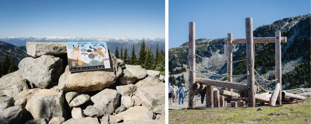 Whistler July 26