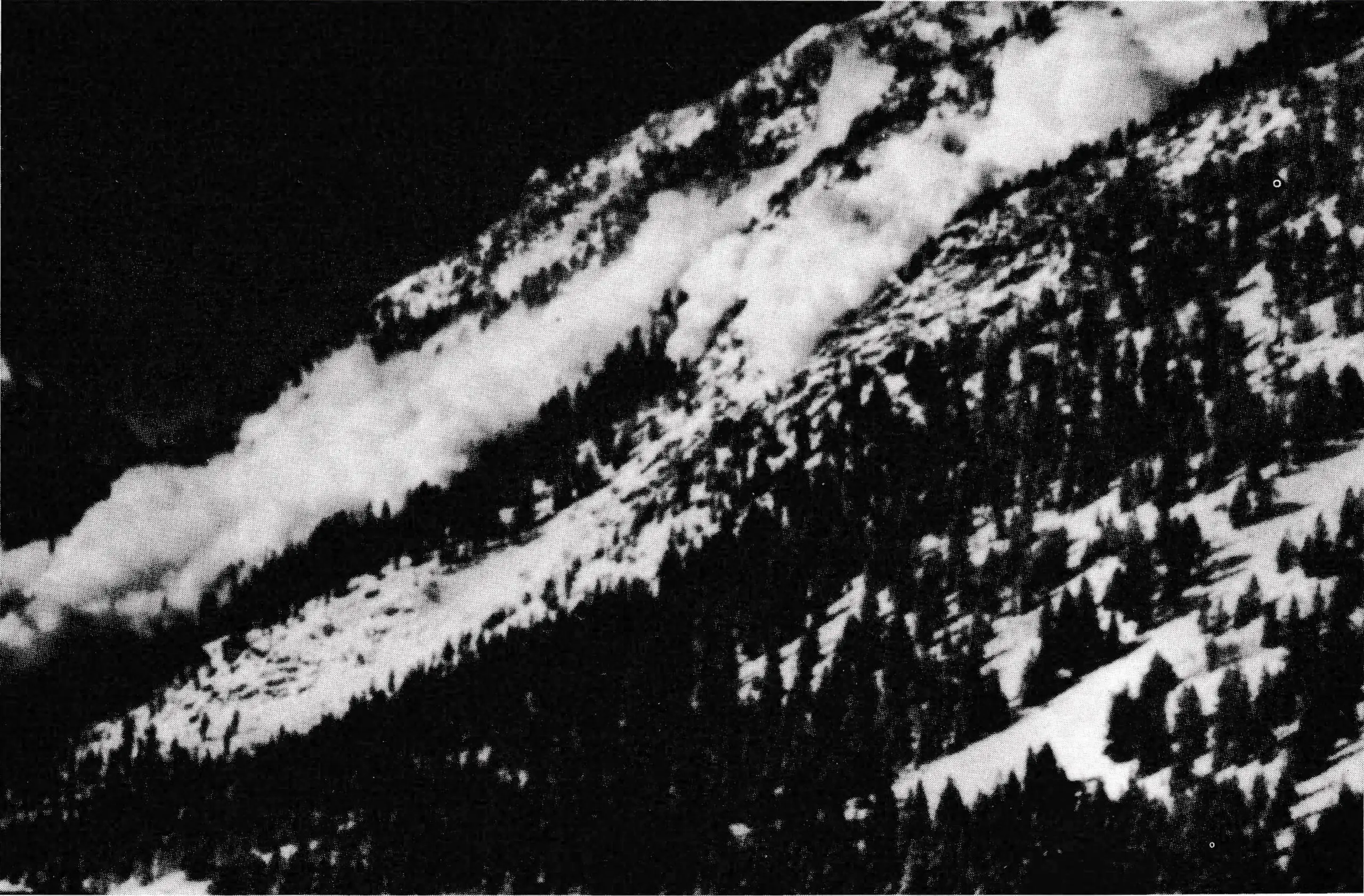 The strange beauty and power of an avalanche are clearly seen in this picture taken by the U.S. Forest Service.