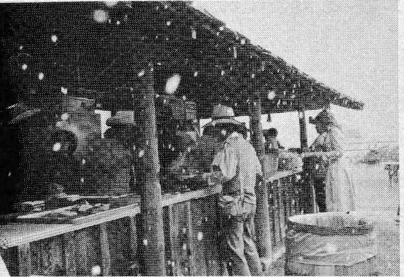 A snowy chowtime at the Ponderosa