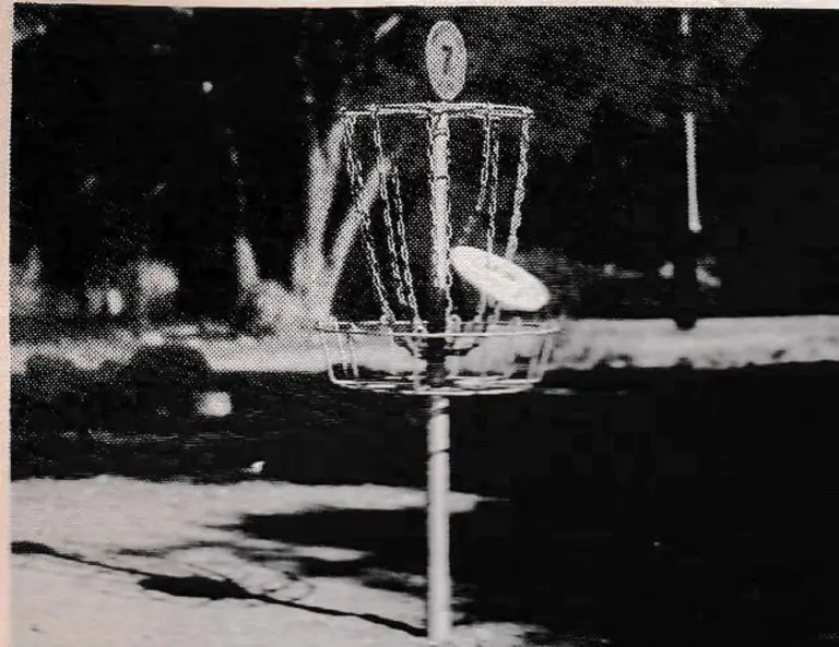 Disc Pole Hole is trademark of the Disc Golf Association.