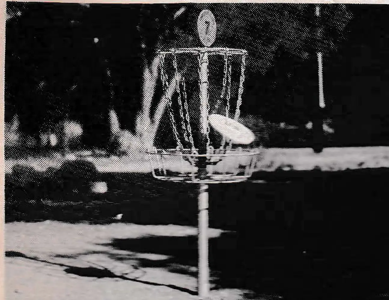 Disc Pole Hole is trademark of the Disc Golf Association.