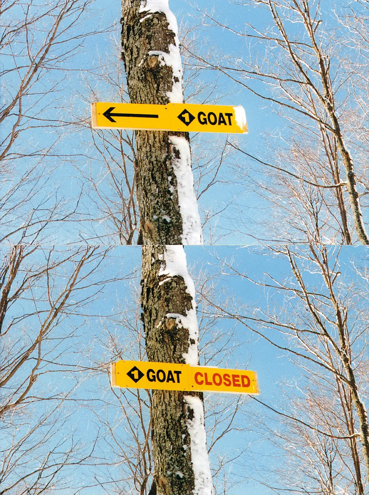 Reversible GOAT trail sign showing open and closed